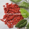 2015 new crop goji berry wolfberry import goji ningxia