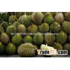 HOT PRODUCT 2016 -FRESH DURIAN HIGH QUALITY - BEST PRICE