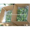 Vietnam seedless lime