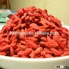 Nature Goji Fruit