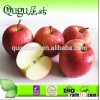 Good Quality Fresh Gala Apple