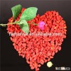 Chinese Factory Pure Nature Organic Wolfberry extract
