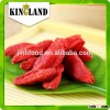 Wolf berry from Ningxia
