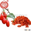 Berry goji certified organic ningxia goji berry dried fruit good for health