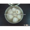 Canned LYCHEE in Syrup @ USD 23.85/ctn