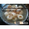 LYCHEE in Syrup/ Cannned LYCHEE for Exporting/ 20oz, 30oz, 30A Canned Lychee/ Vietnam Litchee BEST P