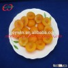New corp canned apricot in light syrup, brand food supplier