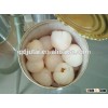 canned whole fresh lychee fruit for hot selling