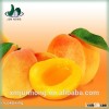 Wholesale best seller delicious canned fresh peaches