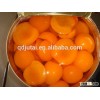 Wholesale canned apricot,fresh canned apricot fruit