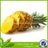 2014 new crop canned pineapple ananas