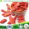 Goji berries Chinese medlar