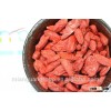 Goji Berry (Lycium Barbarum, Gou Qi Zi)