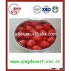 Chinese export hot sale tasty good sweet canned food canned strawberry on sale