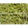 Green Raisins sultana raisins green grape seedless raisin dried fruit snack fruit
