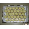 2013 crop fresh pear for sale with high quality