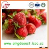 Best quality chinese Fresh sweet Strawberry from china with good looking