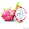 dragon fruits ,wholesale fresh dragon fruits 2016 new crop made in Vietnam