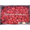 Supply IQF Frozen Raspberry Whole with good quality