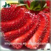 Wholesale China supplier canned korea fresh strawberry