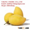 FRESH MANGO FROM VIETNAM - BEST PRICE - HIGH QUALITY