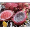 Frozen Shell-on Dragon Fruit