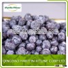 New Crop Frozen blueberry