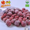 Frozen pitted hawthorn berry, Frozen Berry Fruits