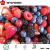 Frozen IQF Mixed Berries Mixed Fruit High Quality Pollution-free in bulk