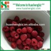 Wholesale Bulk Frozen Raspberries/Frozen Raspberries Price/Frozen Raspberry