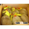 FRESH / FROZEN DURIAN IN VIETNAM