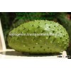 2016 _ FRESH SOURSOP _ HIGH QUALITY