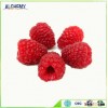Wholesale 2016 New crops Frozen fruit IQF raspberry for export