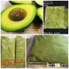 FROZEN AVOCADO - TASTY - GOOD QUALITY - VIETNAM