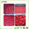 Fruits suppliers wholesale frozen raspberry from China