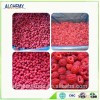 2016 frozen style fresh raspberry