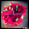 HOT DEAL - FROZEN RED PITAYA - HIGH QUALITY