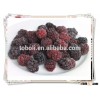 IQF frozen blackberry prices
