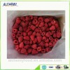 China origin 2016 new season frozen raspberry prices
