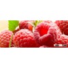 2016 new crop iqf frozen bulk raspberry