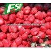 2015 Top Sale Crop Frozen IQF Strawberry