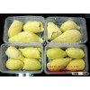 IQF FROZEN DURIAN HIGH QUALITY BEST PRICE VIETNAM