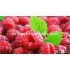 IQF good quality frozen raspberry