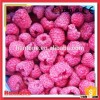 China Delicious Frozen Organic Red Raspberry