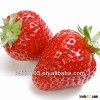 bulk fresh strawberry strawberry manufacturers for red strawberry importers