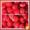 Hot Sale Frozen Sweet Raspberry From China
