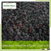Wholesale IQF Blackberry in Frozen Type