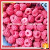 China Bulk Frozen Iqf Raspberry From China