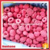 Frozen Whole Raspberry Price Wholesale
