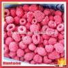 Exporting Whole Iqf Raspberry From China